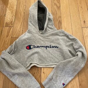Champion Heather Gray Cropped Hoodie